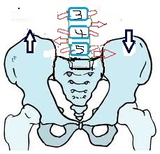 腰椎椎間板2.jpg