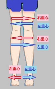 足の筋肉の流れ.jpg